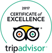 Tripadvisor-Awards-India-Nice-Holidays11